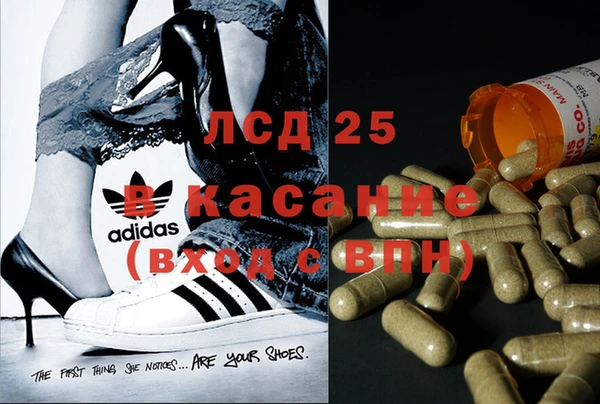сатива Алексин