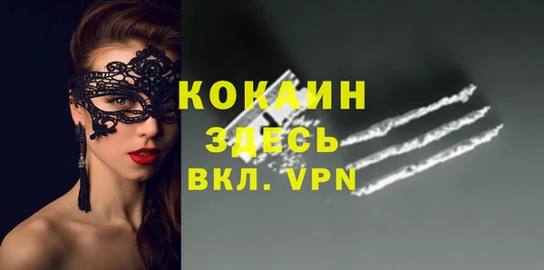 мет Дмитров