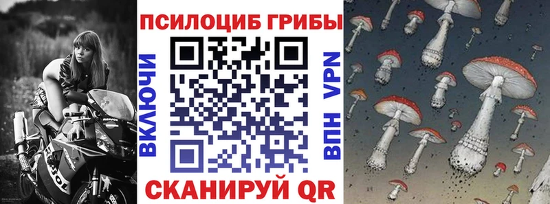 Галлюциногенные грибы Cubensis  Сосновоборск 