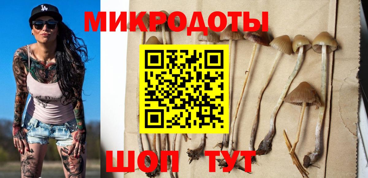 Галлюциногенные грибы ЛСД Сосновоборск